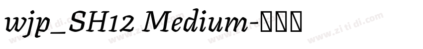 wjp_SH12 Medium字体转换 wjp_SH12 Medium字体转换